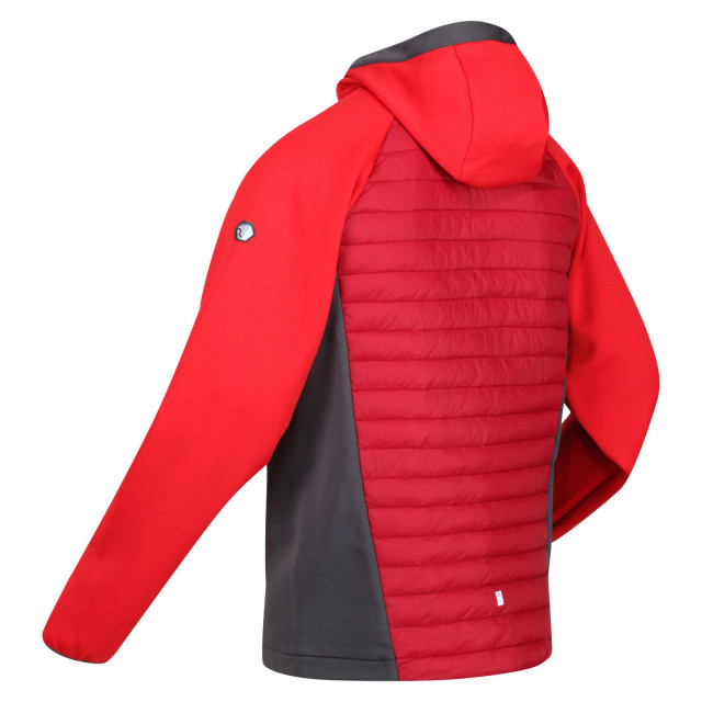 Regatta Heren andreson vii hybride lichtgewicht jas UTRG8162_darkredchinesered large Regatta Heren andreson vii hybride lichtgewicht jas UTRG8162_darkredchinesered large
