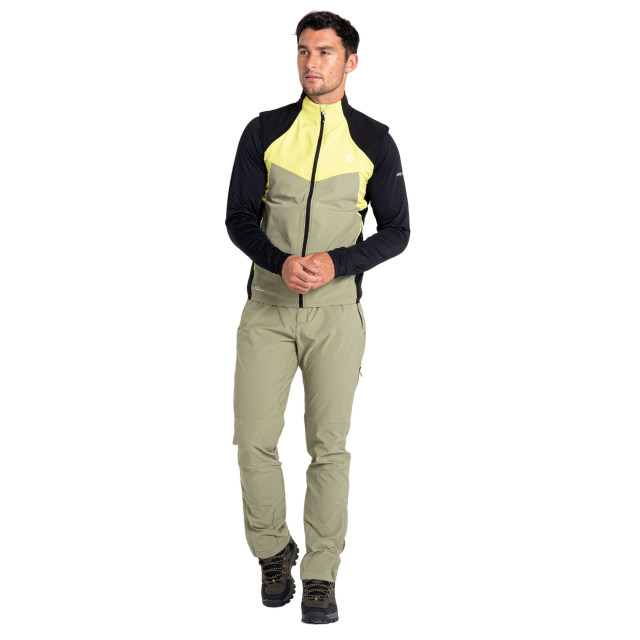 Dare2b Heren latitudinal softshell gilet UTRG8733_greenalgae large