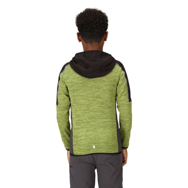 Regatta Burnton full zip fleecejack voor kinderen/kinderen UTRG8889_greenalgaeblack large