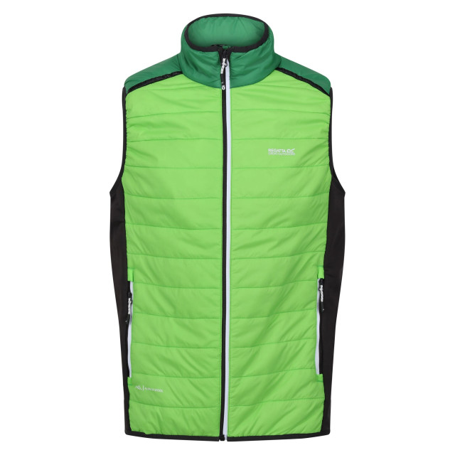 Regatta Heren halton baffled vii colour block gewatteerd gilet UTRG9119_jasminegreenfieldgreen large