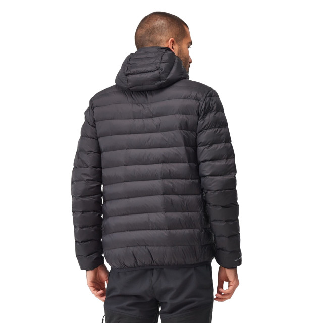 Regatta Heren marizion gewatteerde jas met capuchon UTRG9069_black large