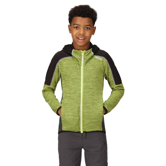 Regatta Burnton full zip fleecejack voor kinderen/kinderen UTRG8889_greenalgaeblack large