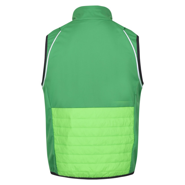 Regatta Heren steren hybride zachte shell jas UTRG9163_fieldgreenjasminegreen large Regatta Heren steren hybride zachte shell jas UTRG9163_fieldgreenjasminegreen large