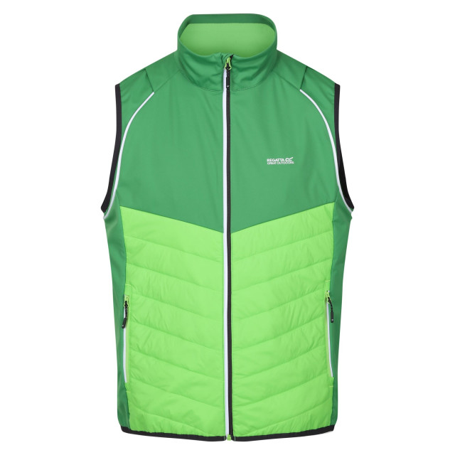 Regatta Heren steren hybride zachte shell jas UTRG9163_fieldgreenjasminegreen large Regatta Heren steren hybride zachte shell jas UTRG9163_fieldgreenjasminegreen large