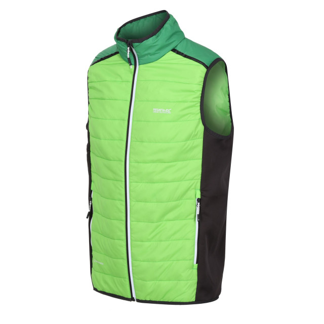 Regatta Heren halton vii gewatteerd gilet UTRG9359_jasminegreenfieldgreen large