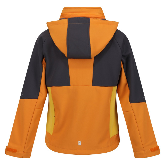 Regatta Kinder/kids haydenbury soft shell jas UTRG9090_orangepeppersealgrey large