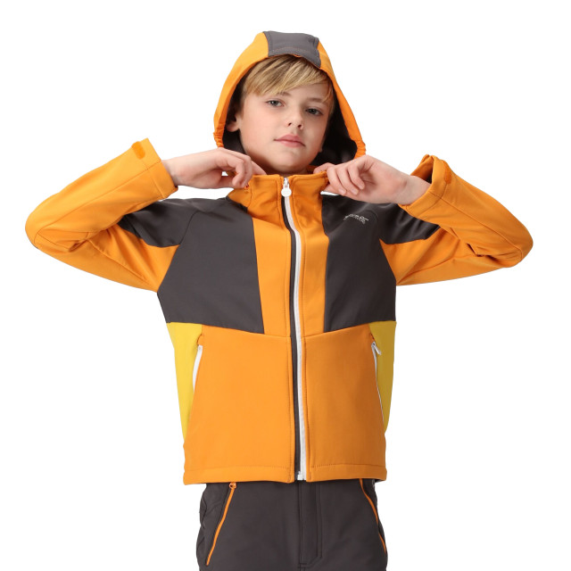 Regatta Kinder/kids haydenbury soft shell jas UTRG9090_orangepeppersealgrey large