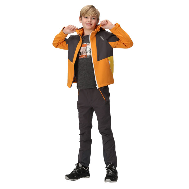 Regatta Kinder/kids haydenbury soft shell jas UTRG9090_orangepeppersealgrey large