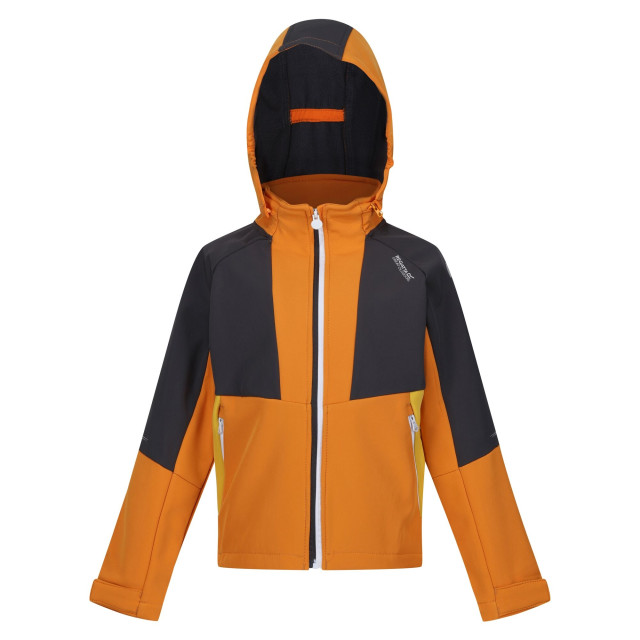 Regatta Kinder/kids haydenbury soft shell jas UTRG9090_orangepeppersealgrey large