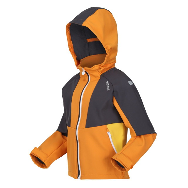 Regatta Kinder/kids haydenbury soft shell jas UTRG9090_orangepeppersealgrey large