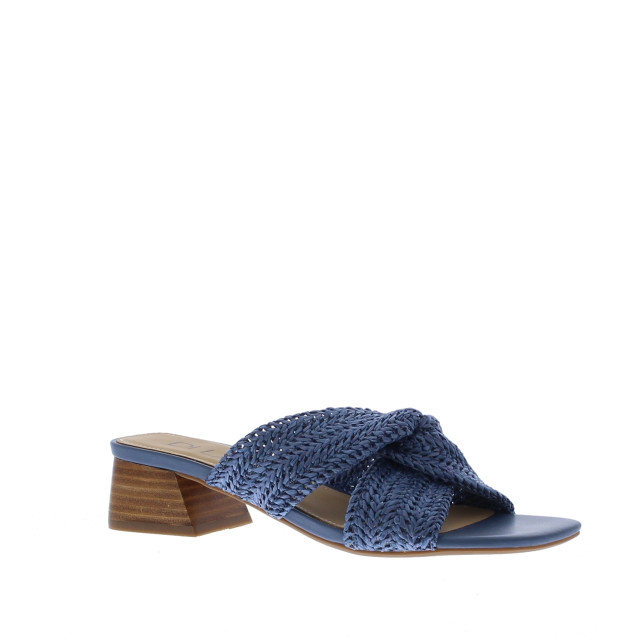 Di Lauro Slipper 109055 109055 large