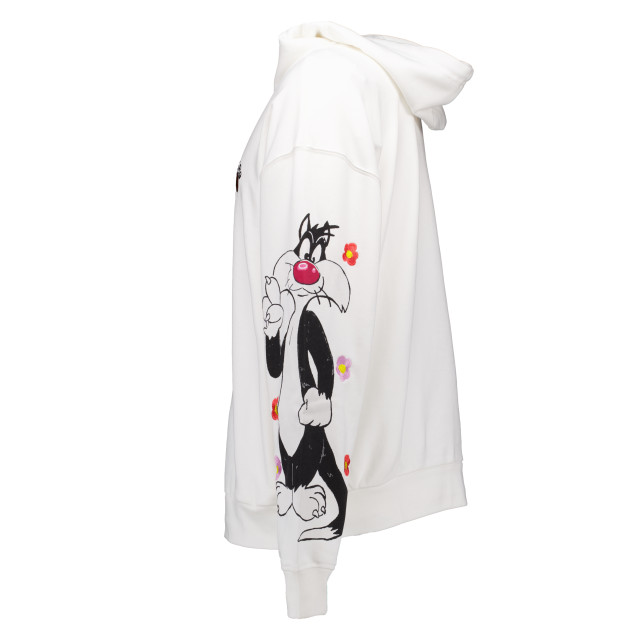 Iceberg Hoodies 24EI1P0E0656317 large