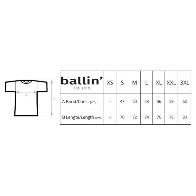 Ballin Est. 2013 Basic shirt OLD-SH-H00050-GRY-L large
