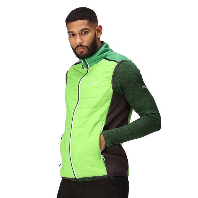 Regatta Heren halton baffled vii colour block gewatteerd gilet UTRG9119_jasminegreenfieldgreen large