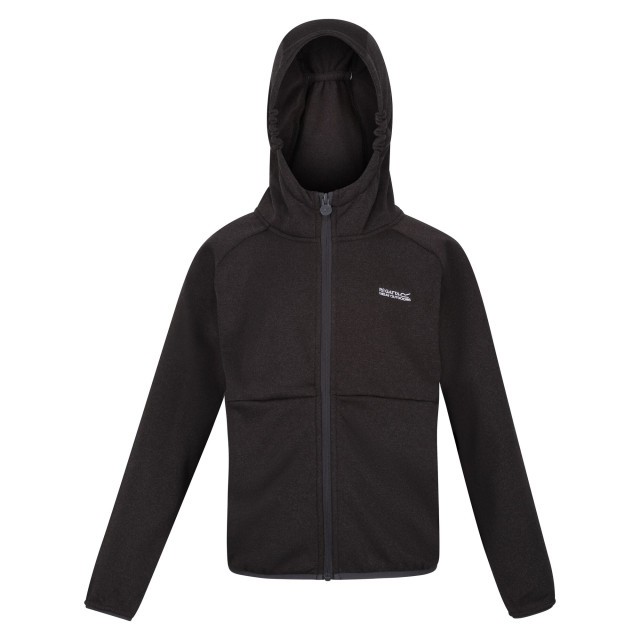 Regatta Maxwell ii lichtgewicht fleecejack voor kinderen/kinderen UTRG8890_sealgrey large