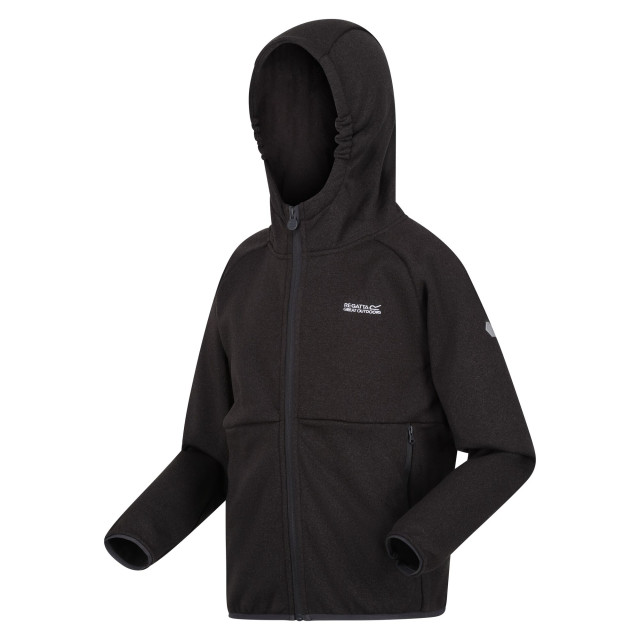 Regatta Maxwell ii lichtgewicht fleecejack voor kinderen/kinderen UTRG8890_sealgrey large