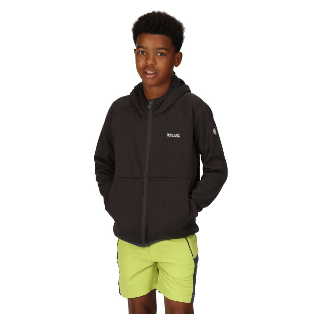 Regatta Maxwell ii lichtgewicht fleecejack voor kinderen/kinderen UTRG8890_sealgrey large