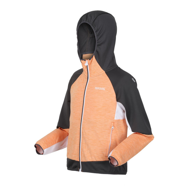 Regatta Kinder/kids prenton ii hooded soft shell jacket UTRG8772_apricotcrushsealgrey large