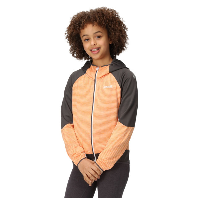 Regatta Kinder/kids prenton ii hooded soft shell jacket UTRG8772_apricotcrushsealgrey large