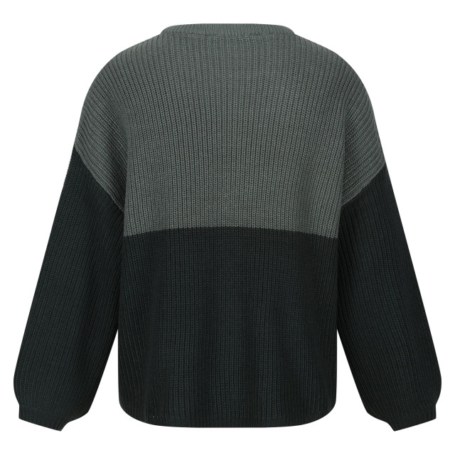 Regatta Dames kamaria gebreide trui UTRG9208_darkforestgreendarkestspruce large Regatta Dames kamaria gebreide trui UTRG9208_darkforestgreendarkestspruce large