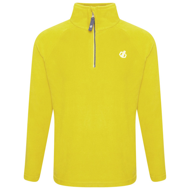 Dare2b Kinderen/kinderen vlies uit de vrije hand UTRG4403_yellowplum large