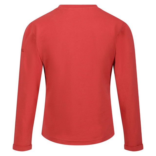 Regatta Kinderen/kinderen wenbie iii good vibes club t-shirt met lange mouwen UTRG8793_mineralred large