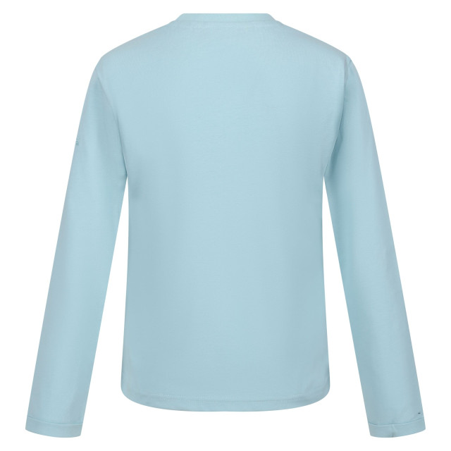 Regatta Kinderen/kinderen wenbie iii sterren t-shirt UTRG8739_seahaze large