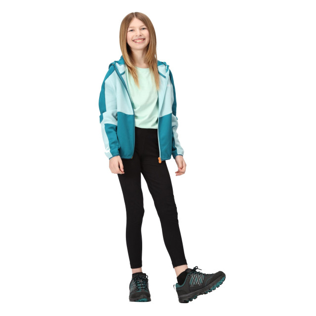 Regatta Kinder/kinder dissolver vii full zip fleecejack UTRG9492_seahazegulfstream large Regatta Kinder/kinder dissolver vii full zip fleecejack UTRG9492_seahazegulfstream large