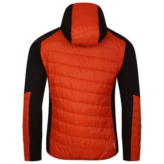 Dare2b Heren touring contrast paneel hybride jas UTRG9488_puffinsorangerooibostea large Dare2b Heren touring contrast paneel hybride jas UTRG9488_puffinsorangerooibostea large