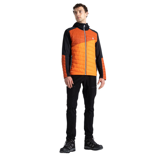 Dare2b Heren touring contrast paneel hybride jas UTRG9488_puffinsorangerooibostea large Dare2b Heren touring contrast paneel hybride jas UTRG9488_puffinsorangerooibostea large