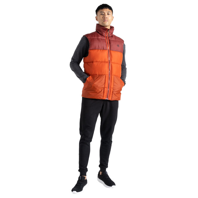 Dare2b Gewatteerd herenvest UTRG9242_rooibosteamadderbrown large