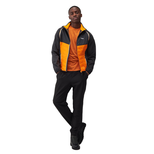Regatta Heren steren hybride zachte shell jas UTRG9163_orangepepperash large Regatta Heren steren hybride zachte shell jas UTRG9163_orangepepperash large