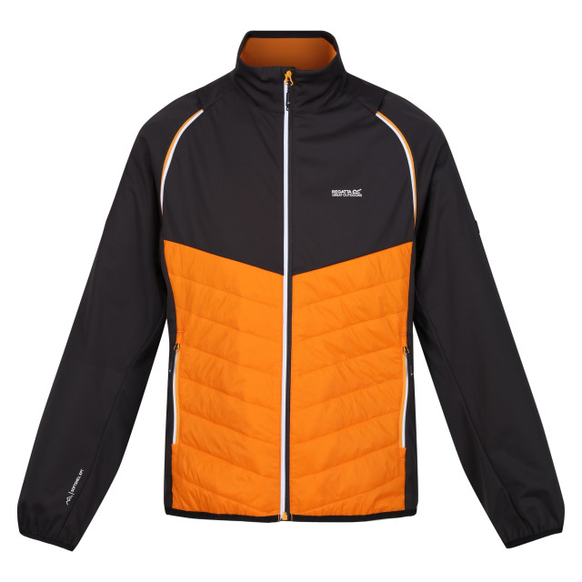 Regatta Heren steren hybride zachte shell jas UTRG9163_orangepepperash large Regatta Heren steren hybride zachte shell jas UTRG9163_orangepepperash large