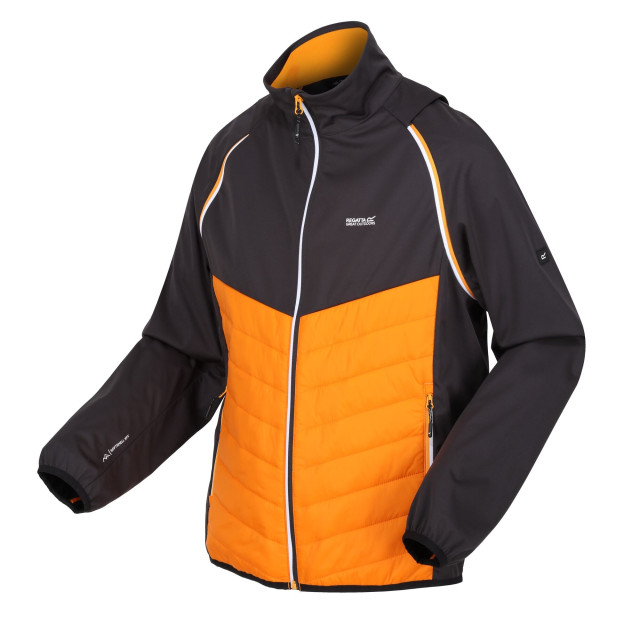 Regatta Heren steren hybride zachte shell jas UTRG9163_orangepepperash large Regatta Heren steren hybride zachte shell jas UTRG9163_orangepepperash large