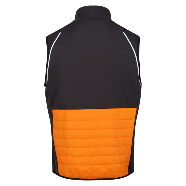 Regatta Heren steren hybride zachte shell jas UTRG9163_orangepepperash large Regatta Heren steren hybride zachte shell jas UTRG9163_orangepepperash large