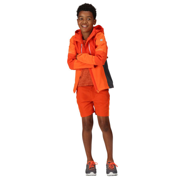 Regatta Kinder/kinder highton iv waterdichte jas UTRG9162_rustyorangeblazeorange large