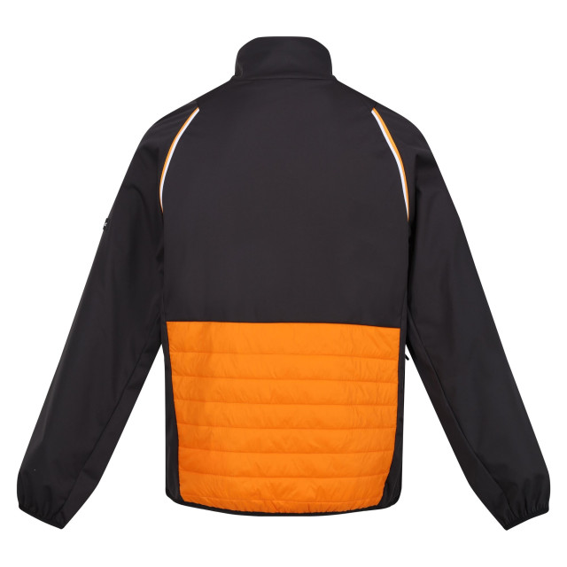 Regatta Heren steren hybride zachte shell jas UTRG9163_orangepepperash large Regatta Heren steren hybride zachte shell jas UTRG9163_orangepepperash large