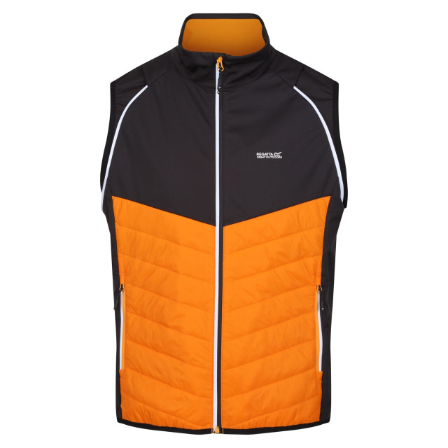 Regatta Heren steren hybride zachte shell jas UTRG9163_orangepepperash large Regatta Heren steren hybride zachte shell jas UTRG9163_orangepepperash large