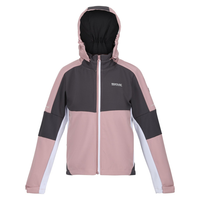 Regatta Kinder/kids acidity vi lichtgewicht soft shell jas UTRG9089_duskyrosesealgrey large