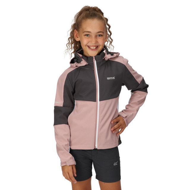 Regatta Kinder/kids acidity vi lichtgewicht soft shell jas UTRG9089_duskyrosesealgrey large