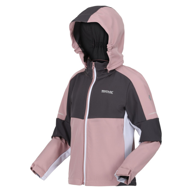 Regatta Kinder/kids acidity vi lichtgewicht soft shell jas UTRG9089_duskyrosesealgrey large