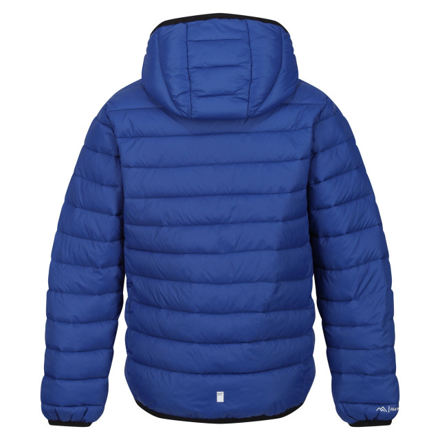 Regatta Marizion gewatteerde jas met capuchon voor kinderen/kinderen UTRG9018_newroyalstrongblue large