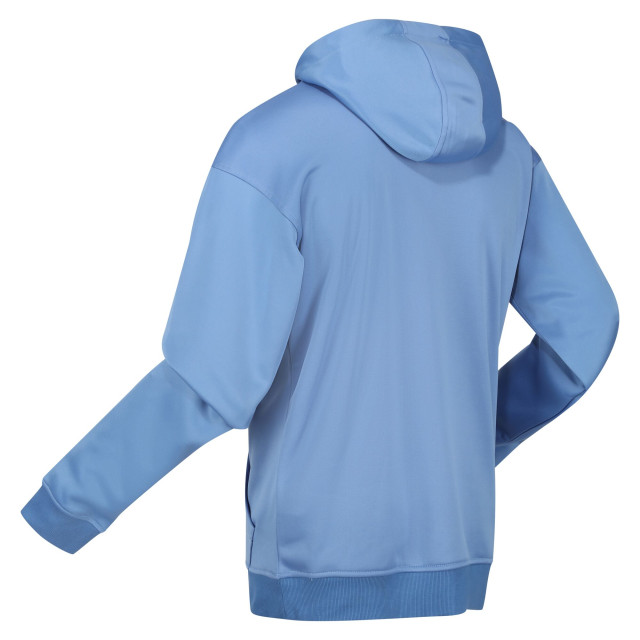 Regatta Heren ortolan marl hoodie UTRG8921_lakeblue large