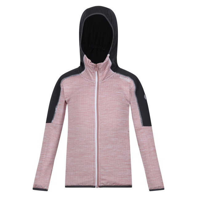 Regatta Burnton full zip fleecejack voor kinderen/kinderen UTRG8889_duskyrosesealgrey large