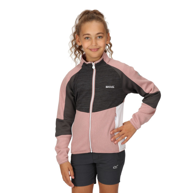 Regatta Kinder/kinder oberon vii marl full zip fleecejack UTRG8891_duskyrosesealgrey large