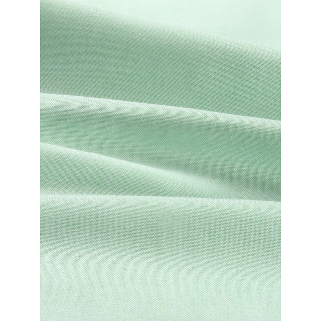 Van Harper Organic cotton oxford shirt light green SH101 Light Green large
