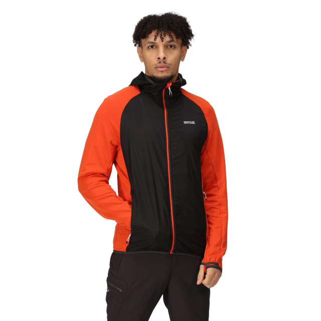 Regatta Heren highton lite hybride soft shell jas met capuchon UTRG9566_ashrustyorange large Regatta Heren highton lite hybride soft shell jas met capuchon UTRG9566_ashrustyorange large