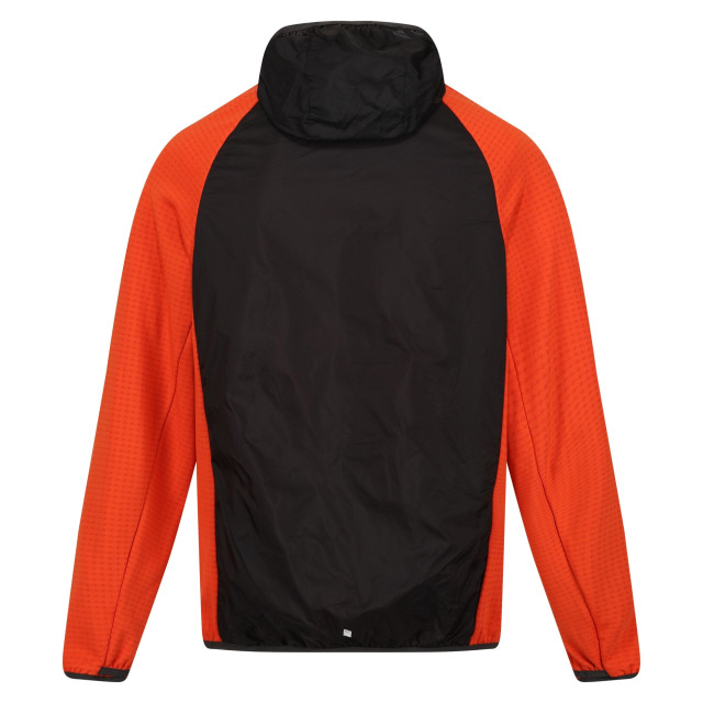 Regatta Heren highton lite hybride soft shell jas met capuchon UTRG9566_ashrustyorange large Regatta Heren highton lite hybride soft shell jas met capuchon UTRG9566_ashrustyorange large