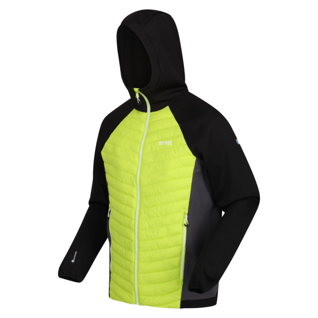 Regatta Heren andreson vii hybride lichtgewicht jas UTRG8162_brightkiwiblack large Regatta Heren andreson vii hybride lichtgewicht jas UTRG8162_brightkiwiblack large