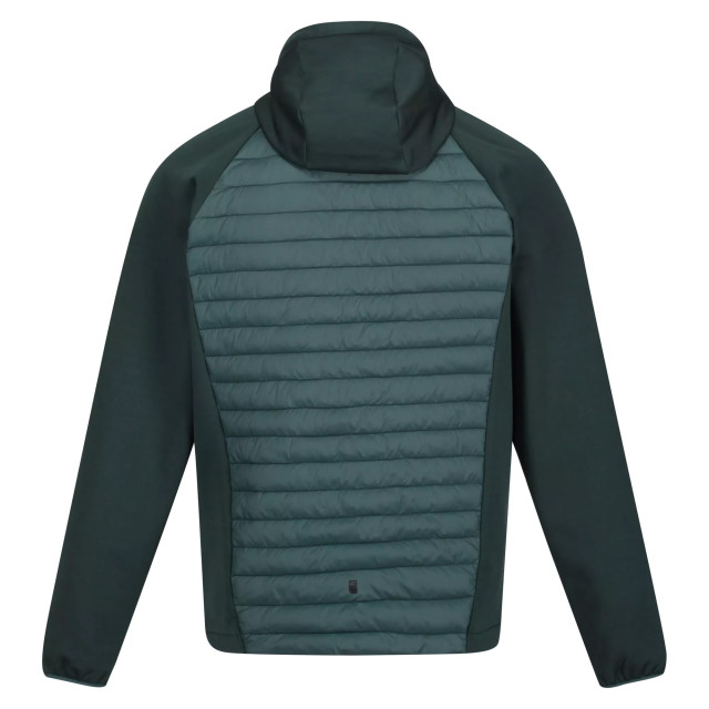 Regatta Heren andreson vii hybride lichtgewicht gewatteerde jas UTRG8078_greengables large Regatta Heren andreson vii hybride lichtgewicht gewatteerde jas UTRG8078_greengables large
